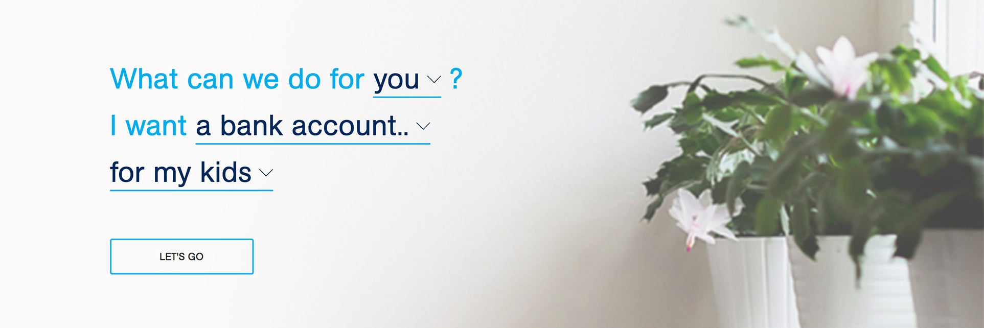 Hume Bank — Luminary